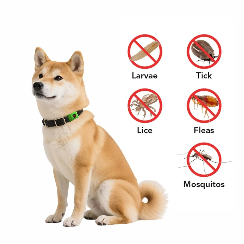 Luffina™ 12 Months Flea and Tick Free