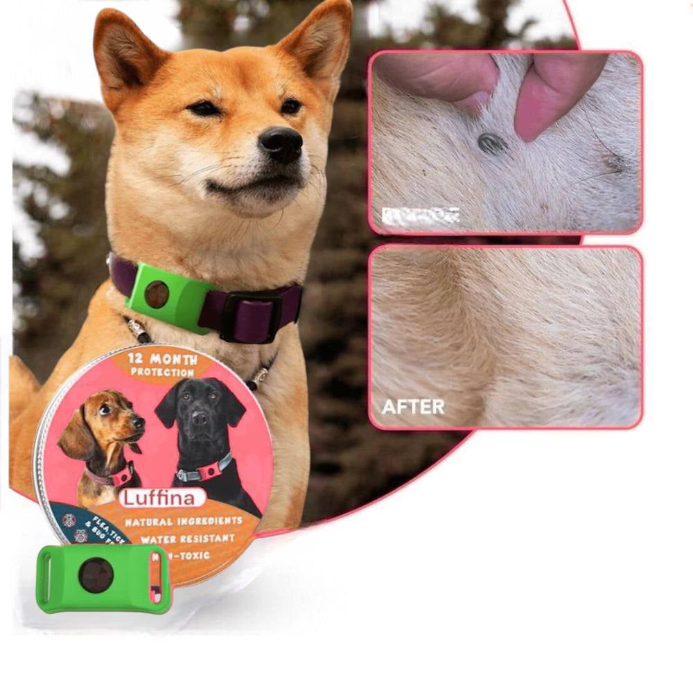 Luffina™ 12 Months Flea and Tick Free