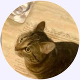 files/Profile_Pics_1.avif