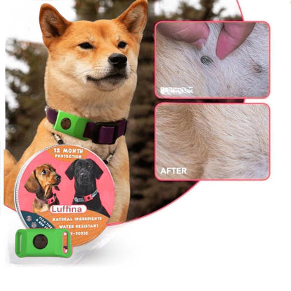 Luffina™ 12 Months Flea and Tick Free