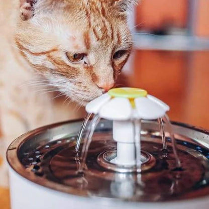 Luffina Hydration Water Fountain