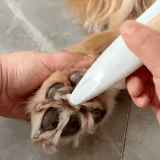 Luffina - Paw Trimmer